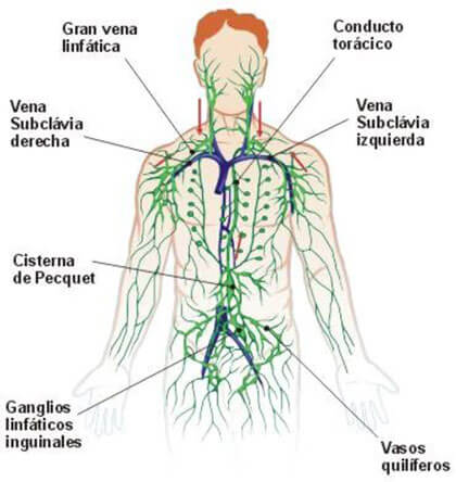 Drenaje linfático